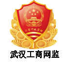  Wuhan network supervision electronic logo